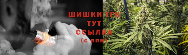 гидра Козельск