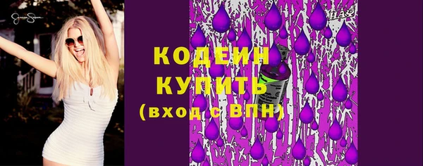 хмурый Кодинск
