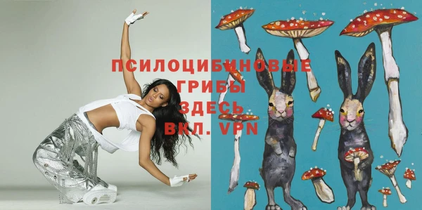 скорость Козловка