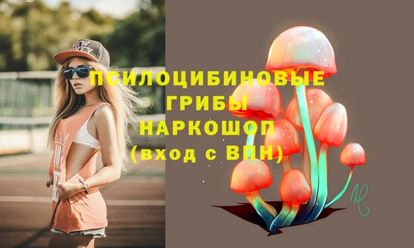 гидра Козельск