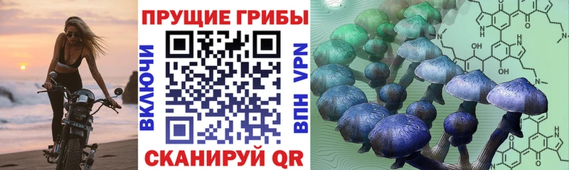 Псилоцибиновые грибы Magic Shrooms  Купить  Ивдель 
